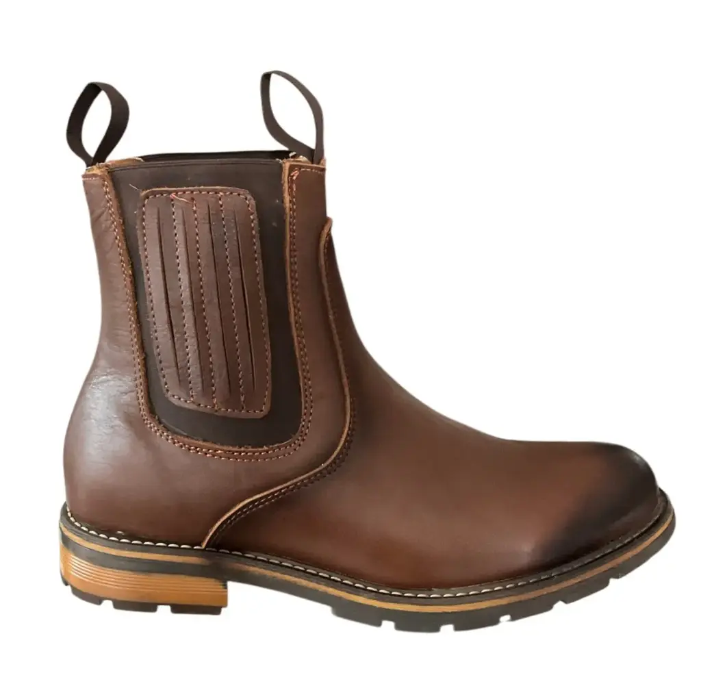 BOTIN CRAZY CAFE H. CHARRA OVAL  T/R S/HULE