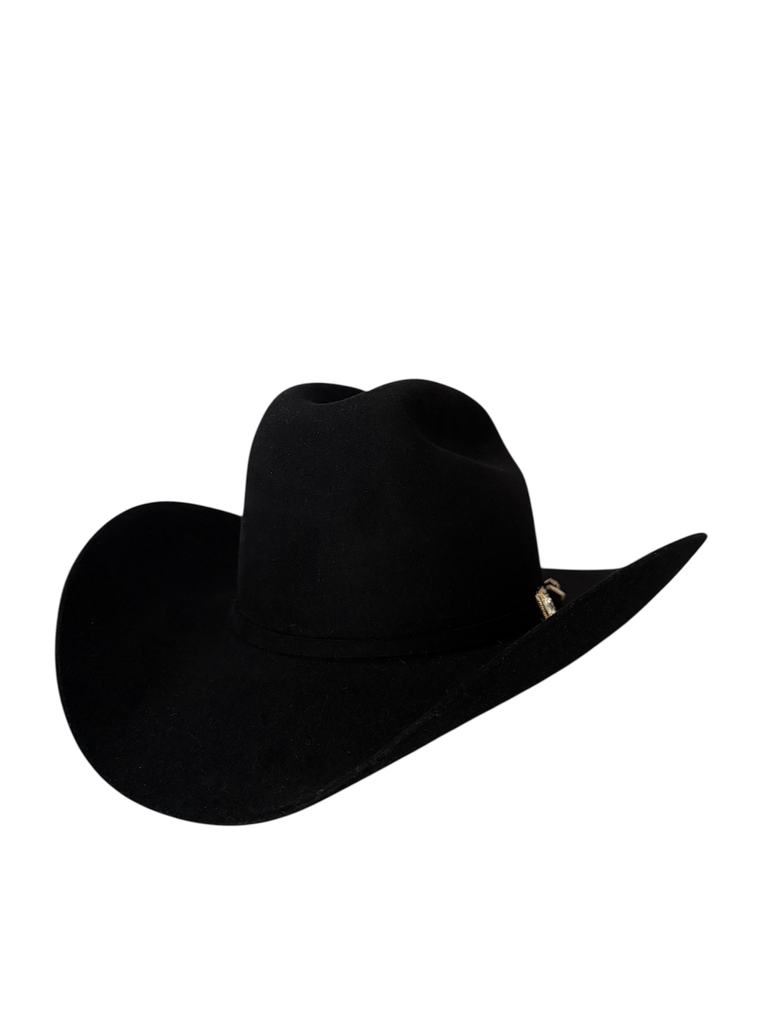 TEXANA STETSON GUADALUPANA 