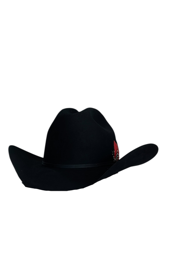 TEXANA RESISTOL 6X HORMA MALBORO 